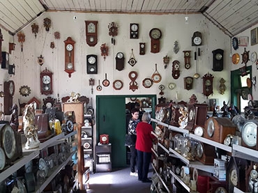 Colyton Clocks