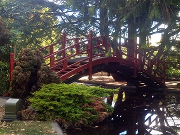 beautiful well kept gardens of Feilding